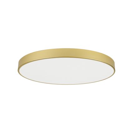 Brilagi - LED-takarmatur POOL LED/128W/230V 3000/4000/6000K Ø 100 cm guldig
