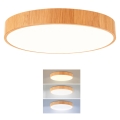 Brilagi - LED-taklampa POOL LED/36W/230V 3000/4000/6000 K Ø 30 cm trädekor