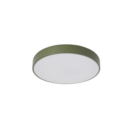 Brilagi - LED takarmatur POOL LED/36W/230V 3000/4000/6000K pr. 30 cm grön
