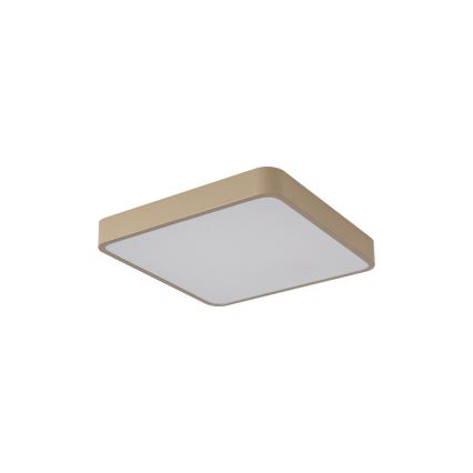 Brilagi - LED-taklampa POOL LED/36W/230V 3000/4000/6000K 40x40 cm beige