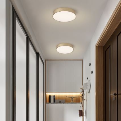 BRILAGI - LED taklampa POOL LED/48W/230V 3000/4000/6000K Ø 40 cm guld
