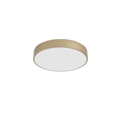BRILAGI - LED taklampa POOL LED/48W/230V 3000/4000/6000K Ø 40 cm guld