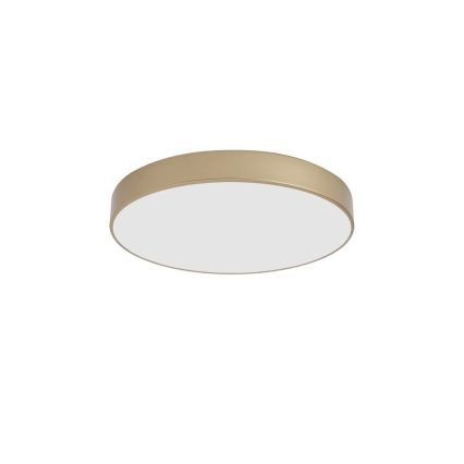 BRILAGI - LED taklampa POOL LED/60W/230V 3000/4000/6000K Ø 50 cm guld