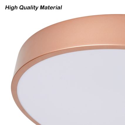 BRILAGI - LED taklampa POOL LED/60W/230V 3000/4000/6000K pr. 50 cm kopparfärgad