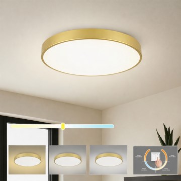 Brilagi - LED taklampa POOL LED/60W/230V 3000/4000/6000K Ø 60 cm guld