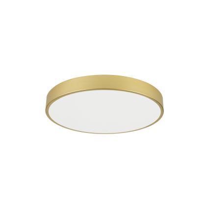 Brilagi - LED taklampa POOL LED/60W/230V 3000/4000/6000K Ø 60 cm guld