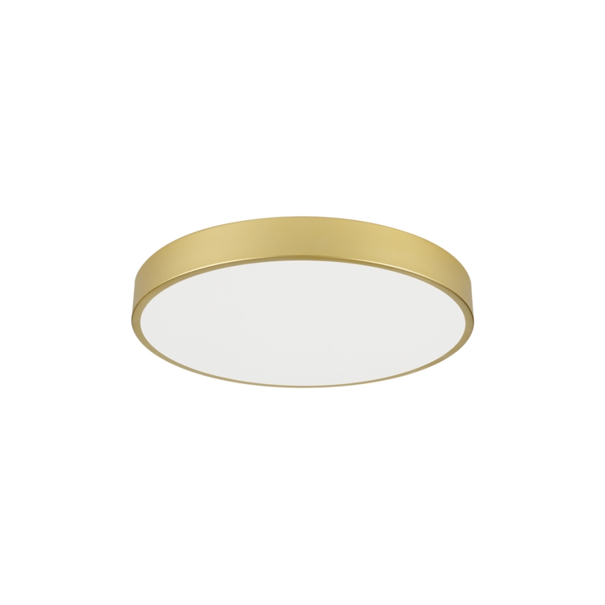 Brilagi - LED taklampa POOL LED/60W/230V 3000/4000/6000K Ø 60 cm guld