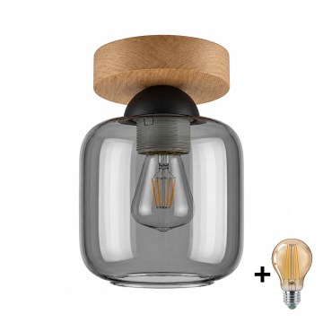BRILAGI - LED-taklampa RETRO GLASS 1xE27/60W/230V Ø 14 cm ek/rökgrå