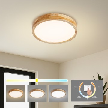 BRILAGI - LED-taklampa WOODLINE LED/24W/230V 3000/4000/6000K ek Ø 30 cm