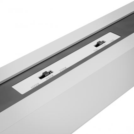 Brilagi - FULLDAY LED ytmonterad takarmatur 20/30/40W 230V 2700/4000/6000K 120 cm vit