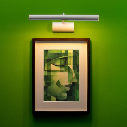 Brilagi - LED tavelbelysning DANAE 2xE14/4W/230V 3000K vit