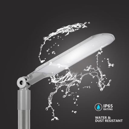Brilagi - LED URBANLIGHT gatlampa för utomhusbruk, 250W/230V, grå, IP65