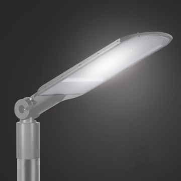 Brilagi - LED-utomhus gatlampa URBANLIGHT LED/200W/230V grå IP65