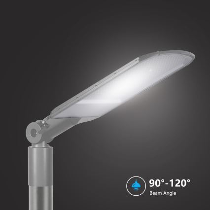 Brilagi - LED-utomhus gatlampa URBANLIGHT LED/200W/230V grå IP65