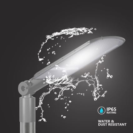 Brilagi - LED-utomhus gatlampa URBANLIGHT LED/200W/230V grå IP65