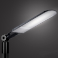 Brilagi - LED utomhus gatlykta URBANLIGHT LED/250W/230V svart IP65