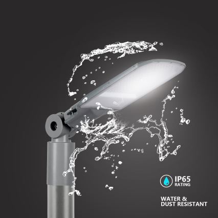 Brilagi - LED utomhus gatuarmatur URBANLIGHT LED/100W/230V grå IP65