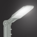 Brilagi - LED utomhus gatulampa URBANLIGHT LED/50W/230V grå IP65
