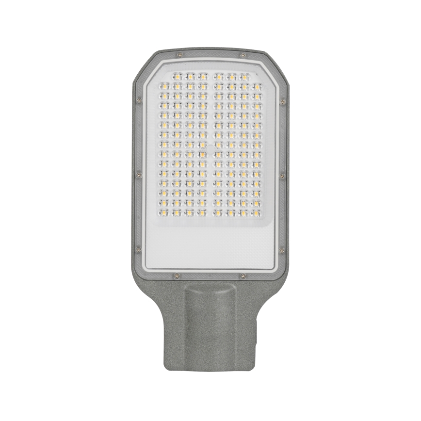 Brilagi - LED utomhus gatulampa URBANLIGHT LED/50W/230V grå IP65