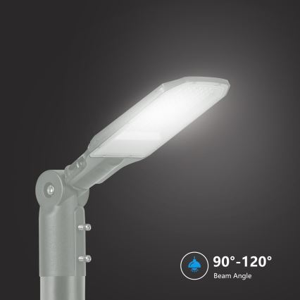 Brilagi - LED utomhus gatulampa URBANLIGHT LED/50W/230V grå IP65