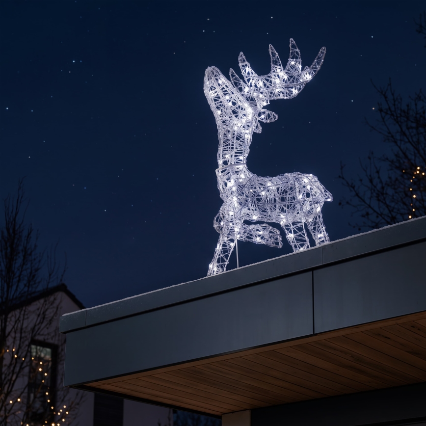 BRILAGI - LED Utomhus juldekoration LED/3,3W/230V IP44 60x37 cm ren