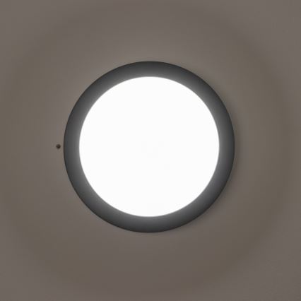 Brilagi - LED Utomhustaklampa LED/13W/230V Ø 17 cm IP54 antracit