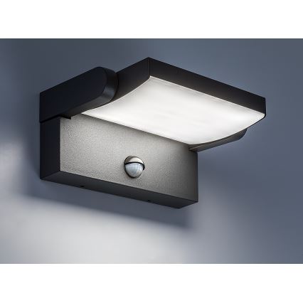 Brilagi - LED Utomhus Vägglampa med Sensor ANKLE LED/18W/230V 4000K IP65 Antracit