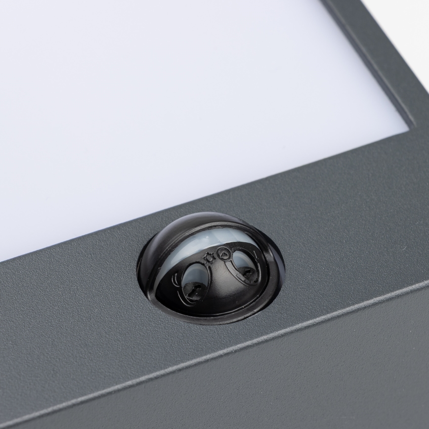 Brilagi - LED Utomhus Vägglampa med Sensor TERNI LED/12W/230V Antracit IP44