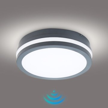 Brilagi - LED-utomhusarmatur med sensor BENE LED/18W/230V Ø 22 cm antracit IP54