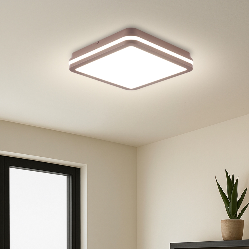 Brilagi - LED utomhustakarmatur med rörelsesensor BENE LED/24W/230V 26x26 cm brun IP54