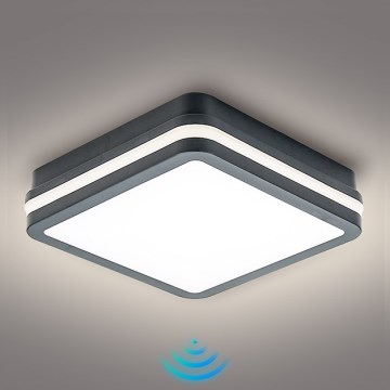 Brilagi - LED Utomhusbelysning med sensor BENE LED/18W/230V 22x22 cm antracit IP54