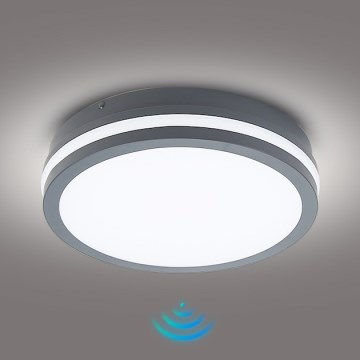 Brilagi - LED Utomhusbelysning med sensor BENE LED/24W/230V Ø 26 cm antracit IP54