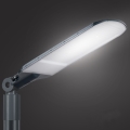 Brilagi - LED utomhusgatelykta URBANLIGHT LED/250W/230V antracit IP65