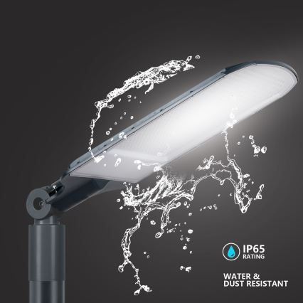 Brilagi - LED utomhusgatelykta URBANLIGHT LED/250W/230V antracit IP65
