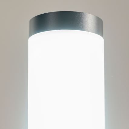 BRILAGI - LED utomhuslampa ELIA 1xE27/7W/230V 4000K IP44 100 cm antracit
