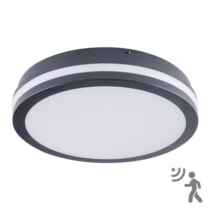 Brilagi - LED Utomhusbelysning med sensor BENE LED/24W/230V Ø 26 cm antracit IP54