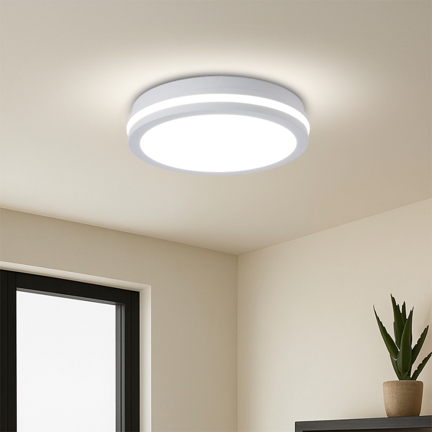 Brilagi - LED utomhustakarmatur BENE LED/24W/230V Ø 26 cm vit IP54