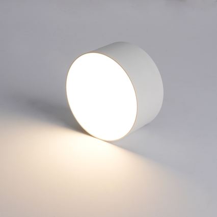 BRILAGI - LED Utomhustakarmatur FORIS LED/14W/230V Ø 12 cm vit IP44
