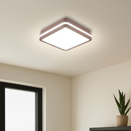 Brilagi - LED-taklampa för utomhusbruk BENE LED/18W/230V 21,5x21,5 cm brun IP54