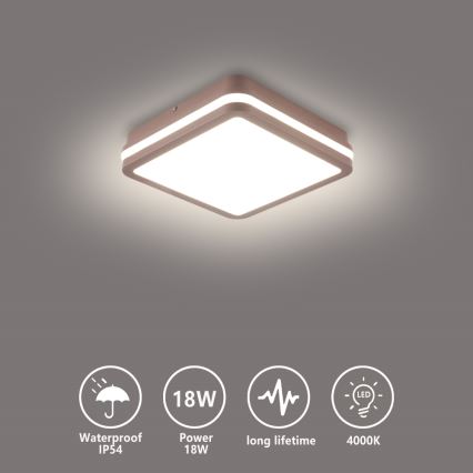 Brilagi - LED-taklampa för utomhusbruk BENE LED/18W/230V 21,5x21,5 cm brun IP54