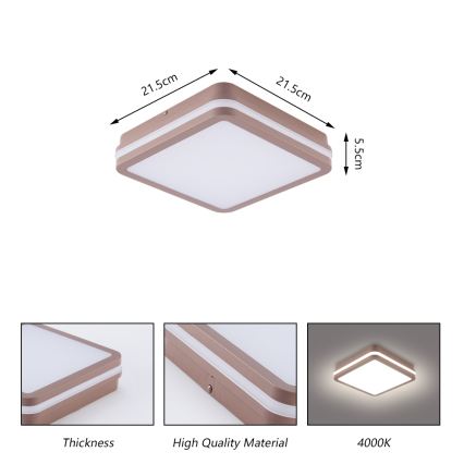 Brilagi - LED-taklampa för utomhusbruk BENE LED/18W/230V 21,5x21,5 cm brun IP54