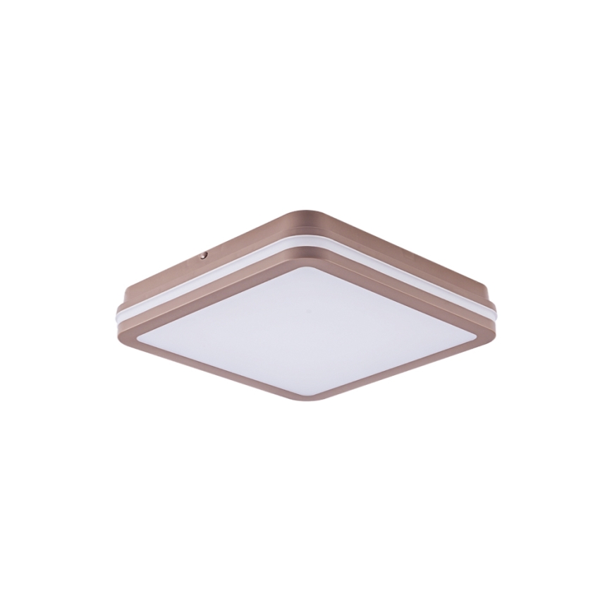 Brilagi - LED utomhustaklampa BENE LED/24W/230V 26x26 cm brun IP54