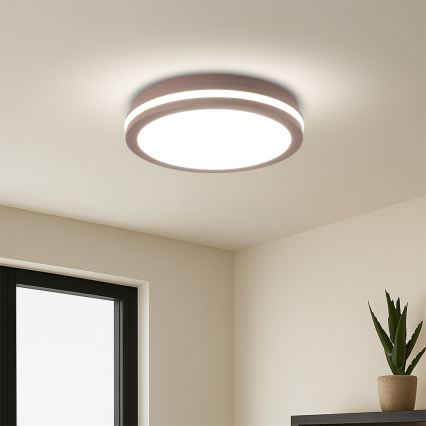 Brilagi - LED utomhustaklampa BENE LED/24W/230V Ø 26 cm brun IP54