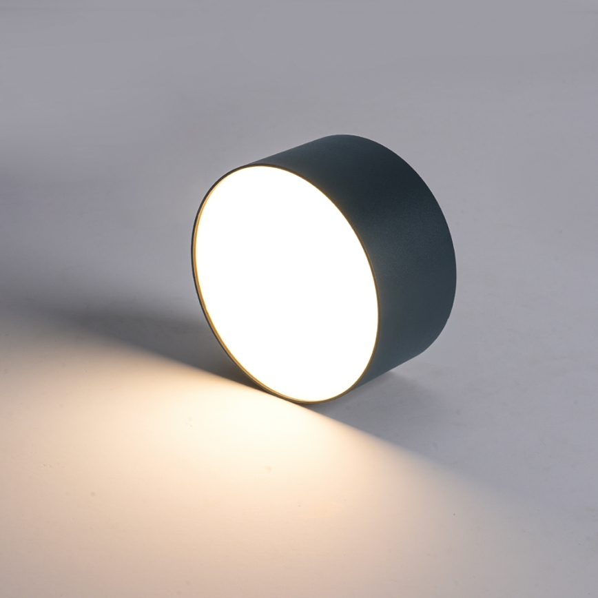 BRILAGI - LED utomhustaklampa FORIS LED/14W/230V Ø 12 cm antracit IP44