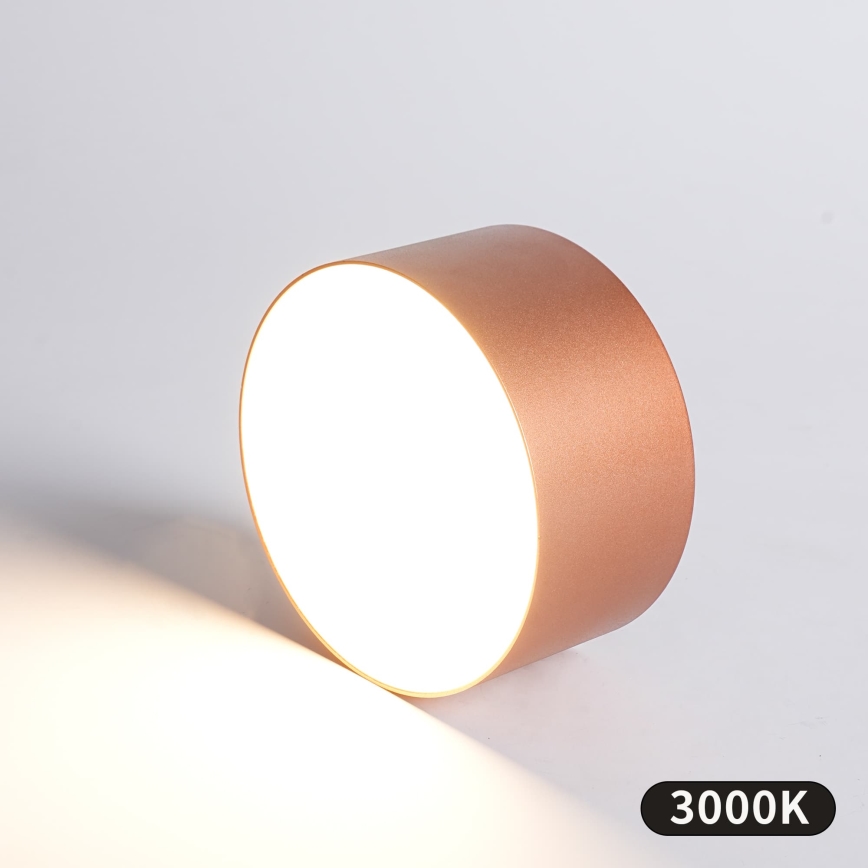 BRILAGI - LED Utomhustaklampa FORIS LED/14W/230V Ø 12 cm bronsfärgad IP44