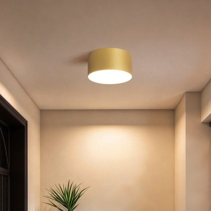 BRILAGI - LED Utomhustaklampa FORIS LED/14W/230V Ø 12 cm guld IP44