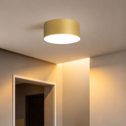 BRILAGI - LED utomhustaklampa FORIS LED/20W/230V Ø 15 cm guld IP44