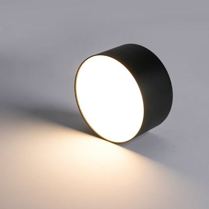 BRILAGI - LED Utomhustaklampa FORIS LED/20W/230V Ø 15 cm svart IP44