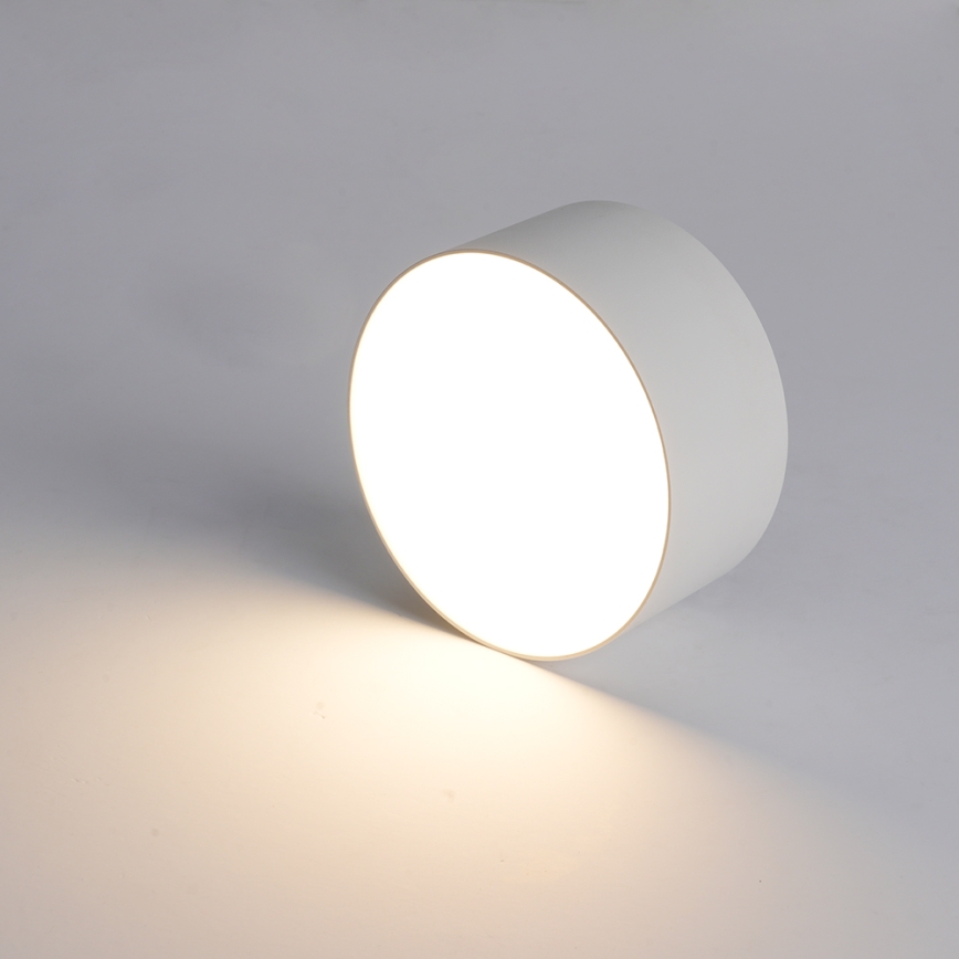 BRILAGI - LED Utomhustaklampa FORIS LED/20W/230V Ø 15 cm vit IP44
