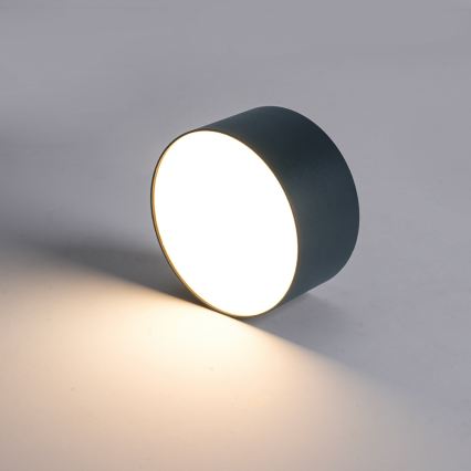 BRILAGI - LED utomhustaklampa FORIS LED/9W/230V Ø 9 cm antracit IP44